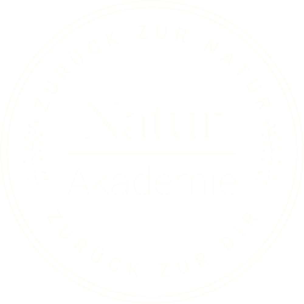 Logo-Erstellen-Lassen-5 logo erstellen lassen 5